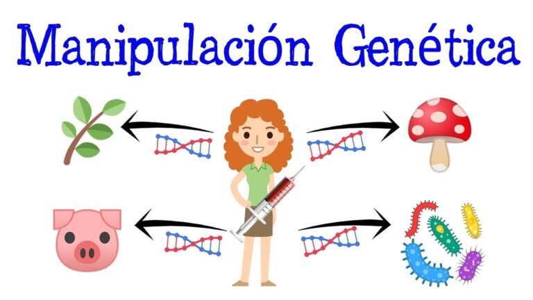 La manipulación genética prolonga la vida de roedores afectados por atrofia muscular espinal