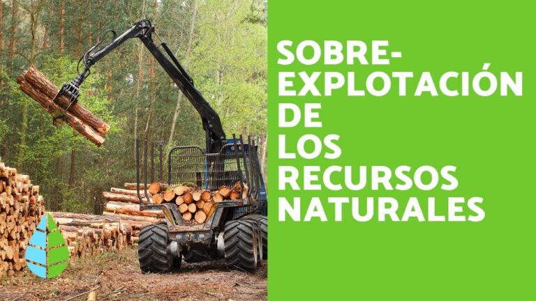 Varios asaltos afectan seriamente a los recursos del medio ambiente