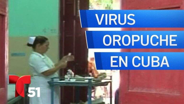 Alerta epidemiológica emitida por el ministerio de salud debido a la presencia del virus &#8220;Oropouche