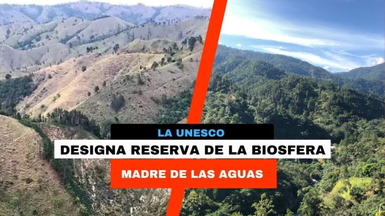 Consultorio para la conservación de la reserva de biosfera madre de las aguas