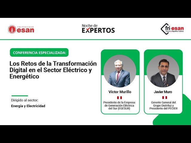 Descontrol en la gestión del sector de la energía