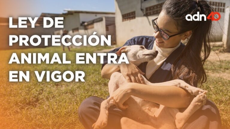 Encuentro de protección animal garantizado através de reunión especializada