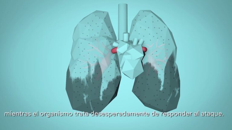 Impacto de la contaminación atmosférica en la salud pulmonar