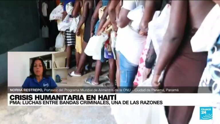 La escasez alimentaria alcanza a la mitad de la población haitiana según informe de la Organización Mundial de la Alimentación