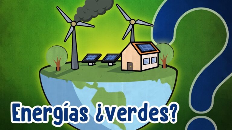 Organización ambiental pide al ejecutivo centrarse en impulso de fuentes energéticas sostenibles