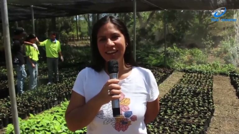 Programa entrega plántulas a jóvenes de Seibo para fomentar su interés en la agricultura