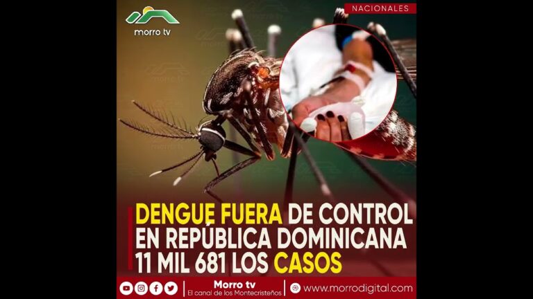 1,182 casos confirmados de dengue detectados en República Dominicana