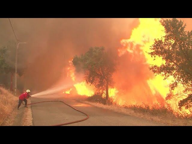 Control de incendio en tienda de muebles en avenida local