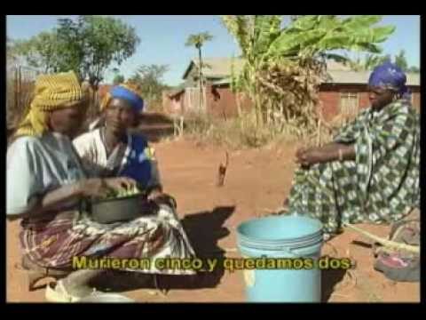 Explorando una mirada fresca sobre la africanidad según Celsa Albert