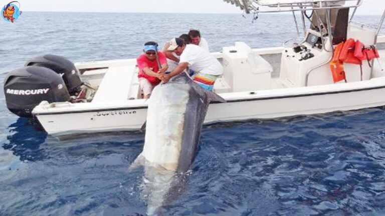 Pescador estadounidense capturó gran pez azul recientemente