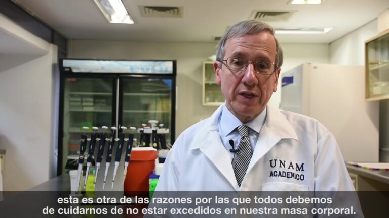 Relación preocupante y prevenible entre obesidad y cáncer de mama